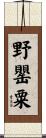 野罌粟 Scroll