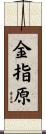 金指原 Scroll