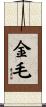 金毛 Scroll