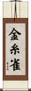 金糸雀 Scroll