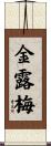 金露梅 Scroll