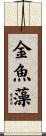 金魚藻 Scroll