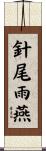 針尾雨燕 Scroll