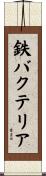 鉄バクテリア Scroll