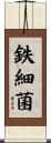 鉄細菌 Scroll