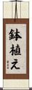 鉢植え Scroll