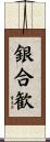 銀合歓 Scroll