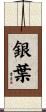 銀葉 Scroll