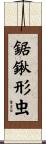 鋸鍬形虫 Scroll
