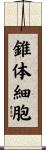 錐体細胞 Scroll