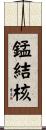 錳結核 Scroll