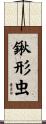 鍬形虫 Scroll