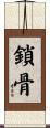 鎖骨 Scroll