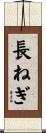 長ねぎ Scroll