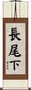 長尾下 Scroll