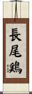 長尾鶏 Scroll