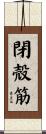 閉殻筋 Scroll
