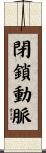 閉鎖動脈 Scroll