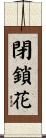 閉鎖花 Scroll