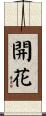 Opening / Blooming Flowers Scroll