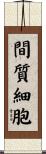 間質細胞 Scroll