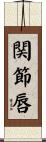 関節唇 Scroll