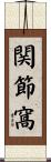 関節窩 Scroll