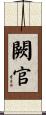 闕官 Scroll