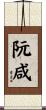 阮咸 Scroll