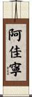 阿佳寧 Scroll