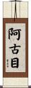 阿古目 Scroll
