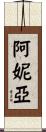 Anya Scroll
