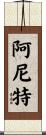 Anit Scroll