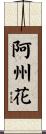 阿州花 Scroll