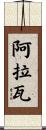 阿拉瓦 Scroll