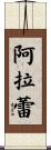Alara Scroll
