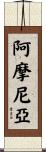 阿摩尼亞 Scroll