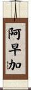 阿早加 Scroll