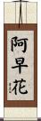 阿早花 Scroll