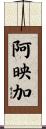 阿映加 Scroll