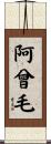 阿曾毛 Scroll