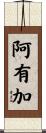 阿有加 Scroll