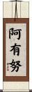阿有努 Scroll