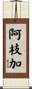 阿枝加 Scroll
