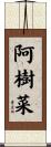 阿樹菜 Scroll