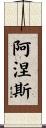 Agnes Scroll