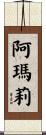 Amalie Scroll