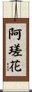 阿瑳花 Scroll