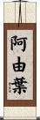 阿由葉 Scroll