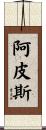 Apis Scroll